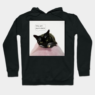 You Are Purrr-fect Hoodie